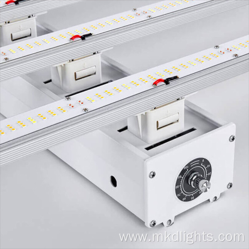 1000 Led Cob Grow Light 2X4 6X6 Tent